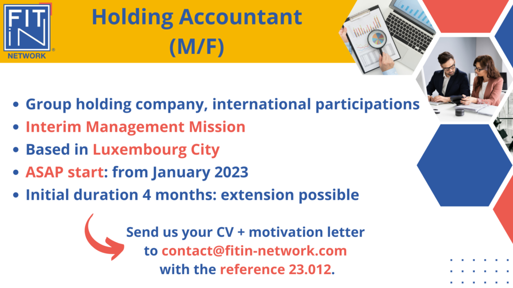 Holding Accountant (M/F)