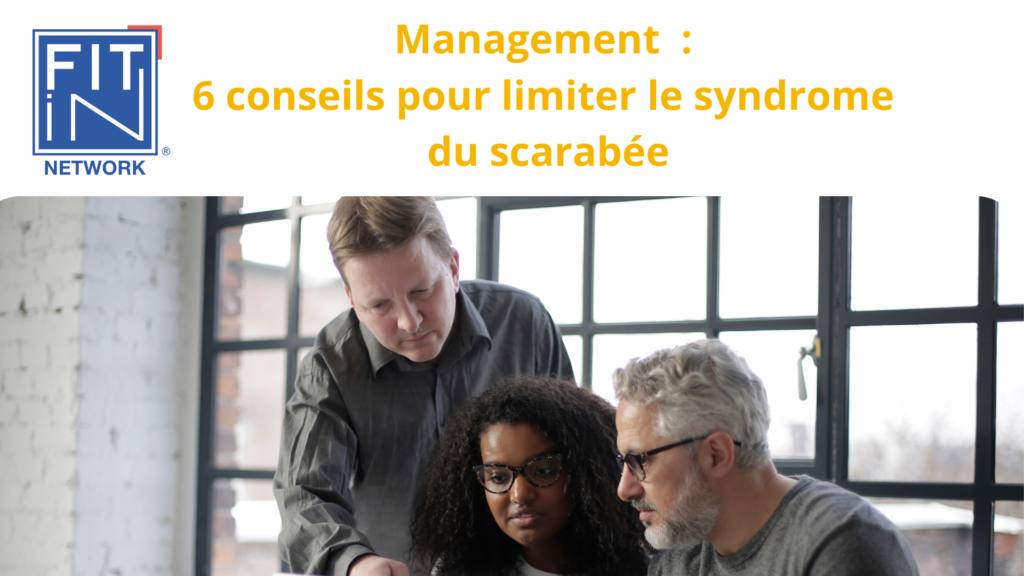 Management : 6 conseils pour limiter le syndrome du scarabée