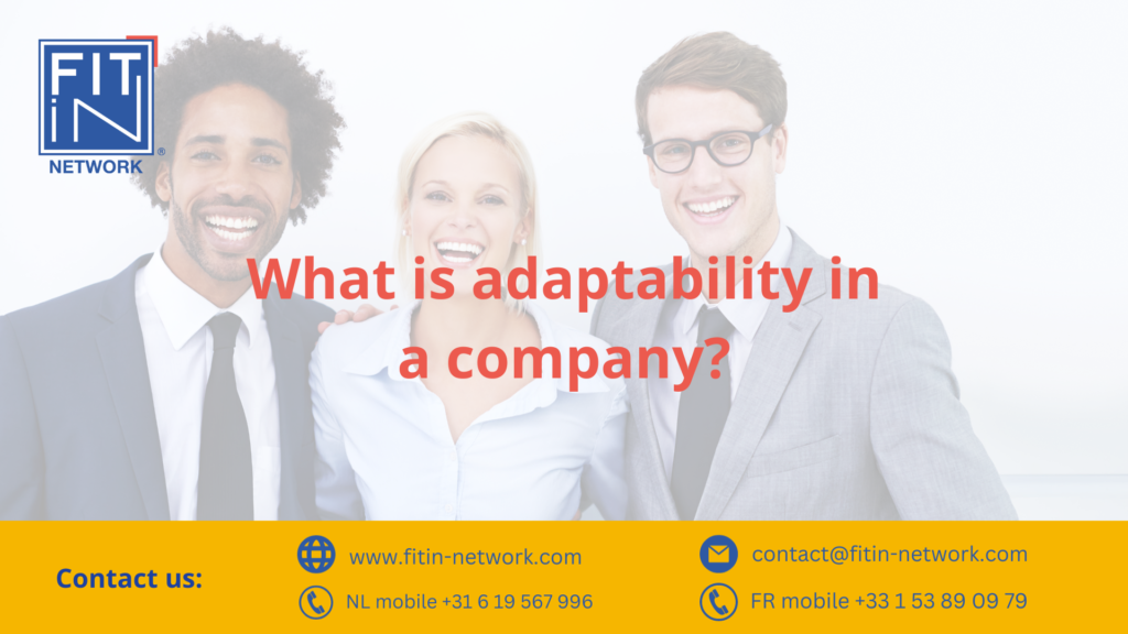 What is adaptability in a company?